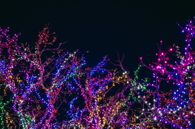 Holiday Light Installation: Top 7 Advantages of Hiring Professional Services